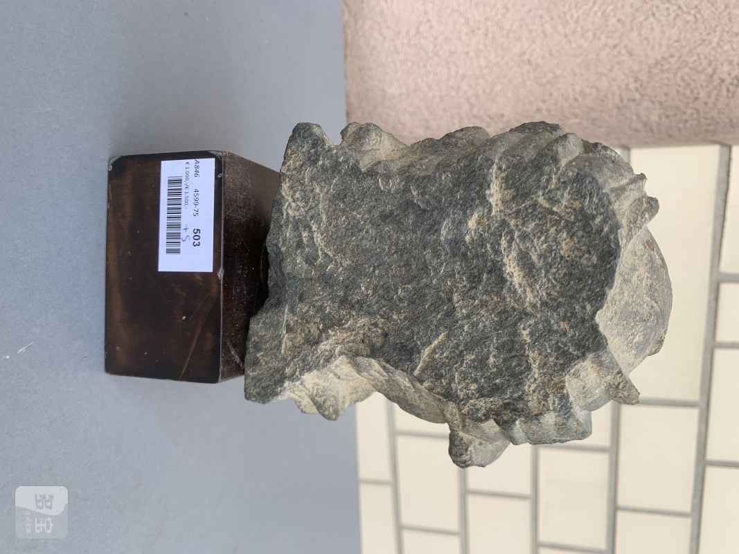 A GREY SCHIST HEAD OF A BODHISATTVA - 图8